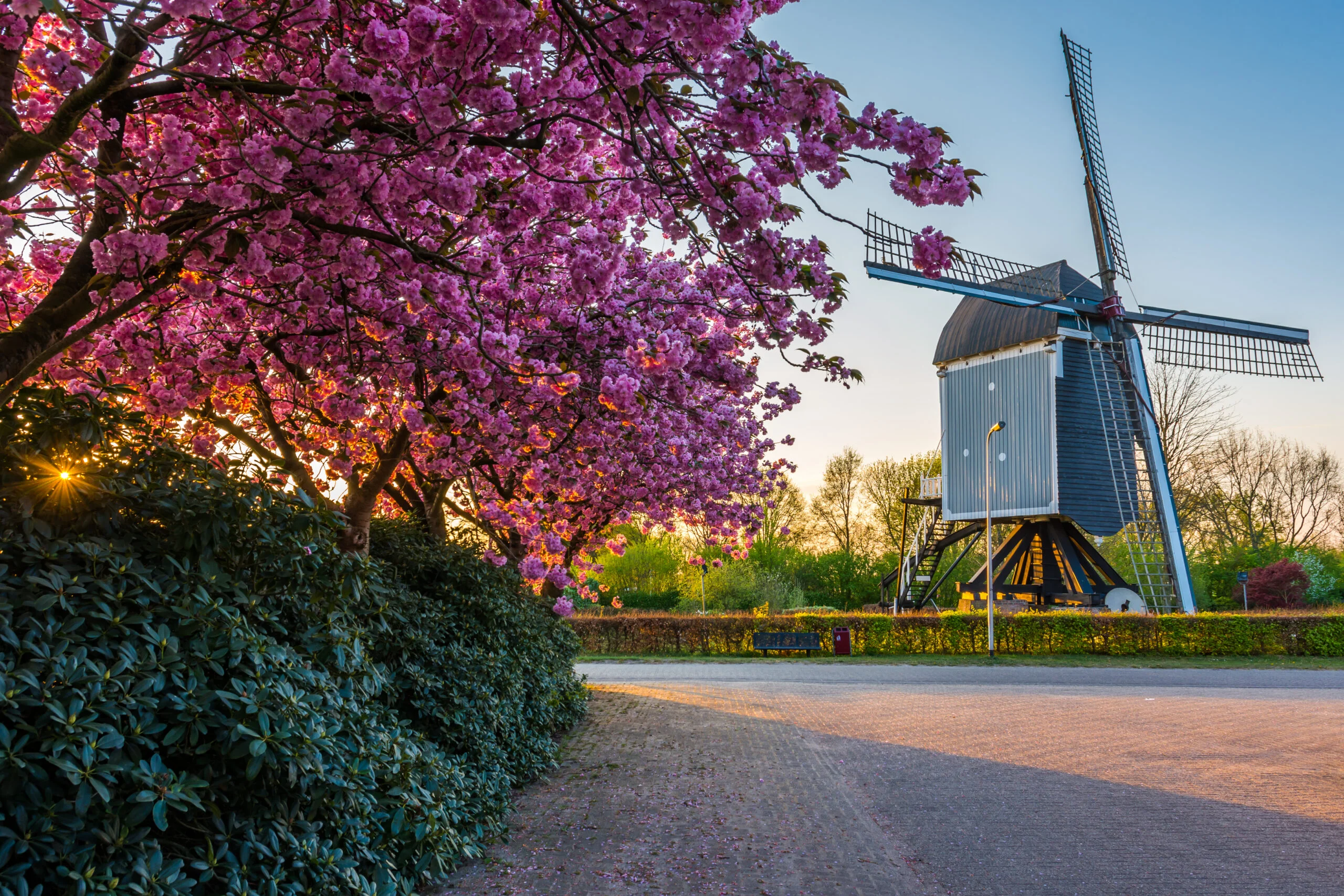 Fietsen en wandelen in het groen